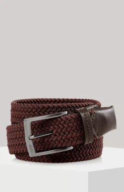 Belt in Brown