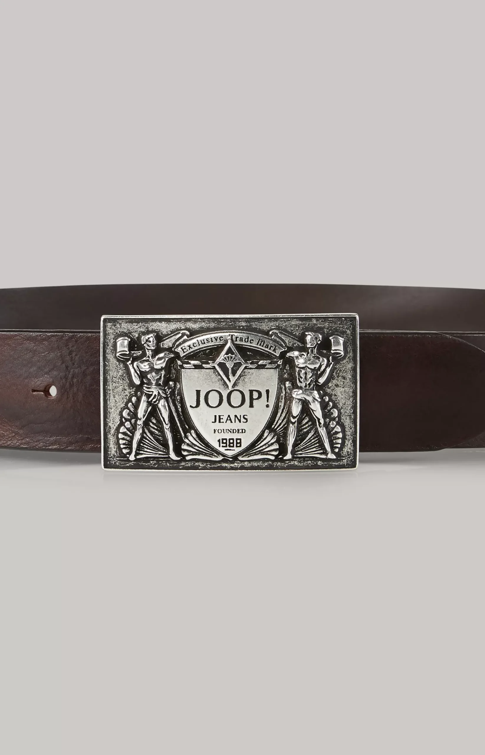 Belt in Dark Brown