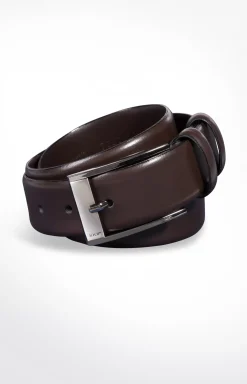Belt in Dark Brown