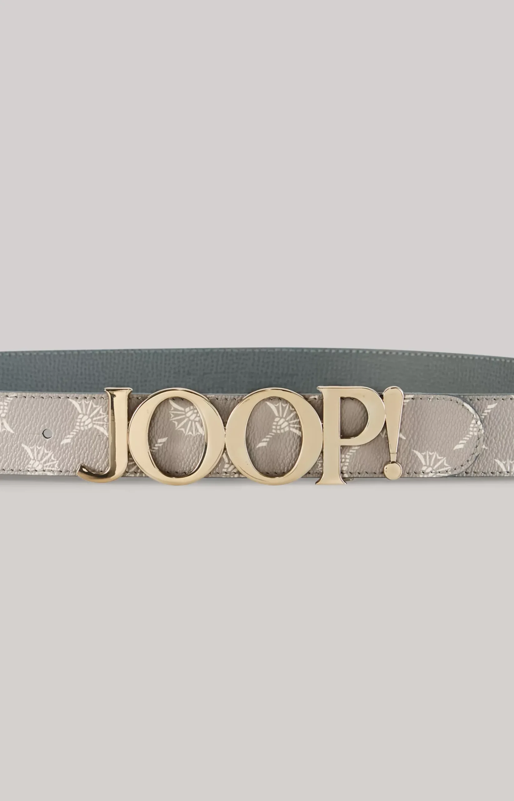 Belt in Light Grey