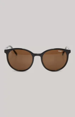 Black/Brown Sunglasses