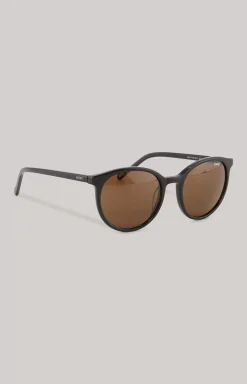 Black/Brown Sunglasses