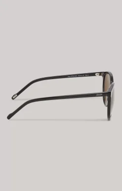 Black/Brown Sunglasses