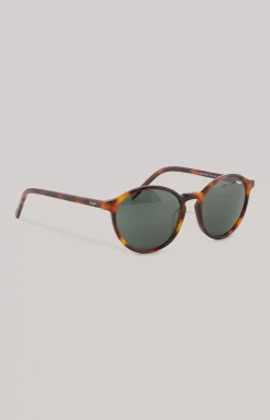 Brown/Green Sunglasses
