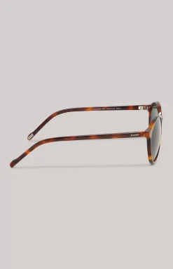 Brown/Green Sunglasses