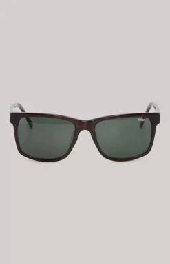 Brown/Green Sunglasses