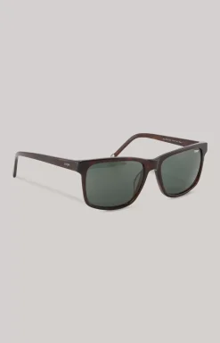 Brown/Green Sunglasses