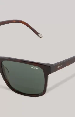 Brown/Green Sunglasses