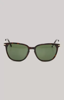Brown/Green Sunglasses