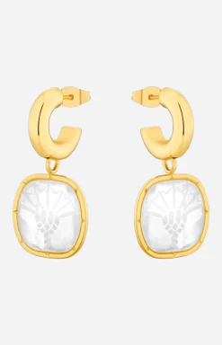 Earrings in Gold