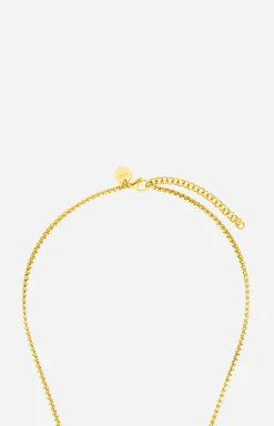 Gold Necklace