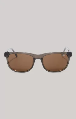 Grey/Brown Sunglasses