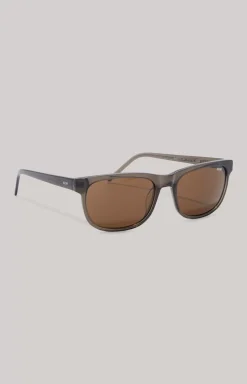 Grey/Brown Sunglasses