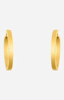 Hoop Earrings in Gold