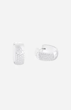Hoop Earrings in Silver