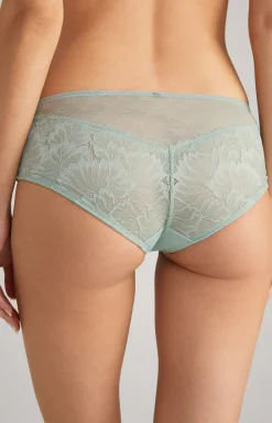Lace Hipster Panties in Sea Grass