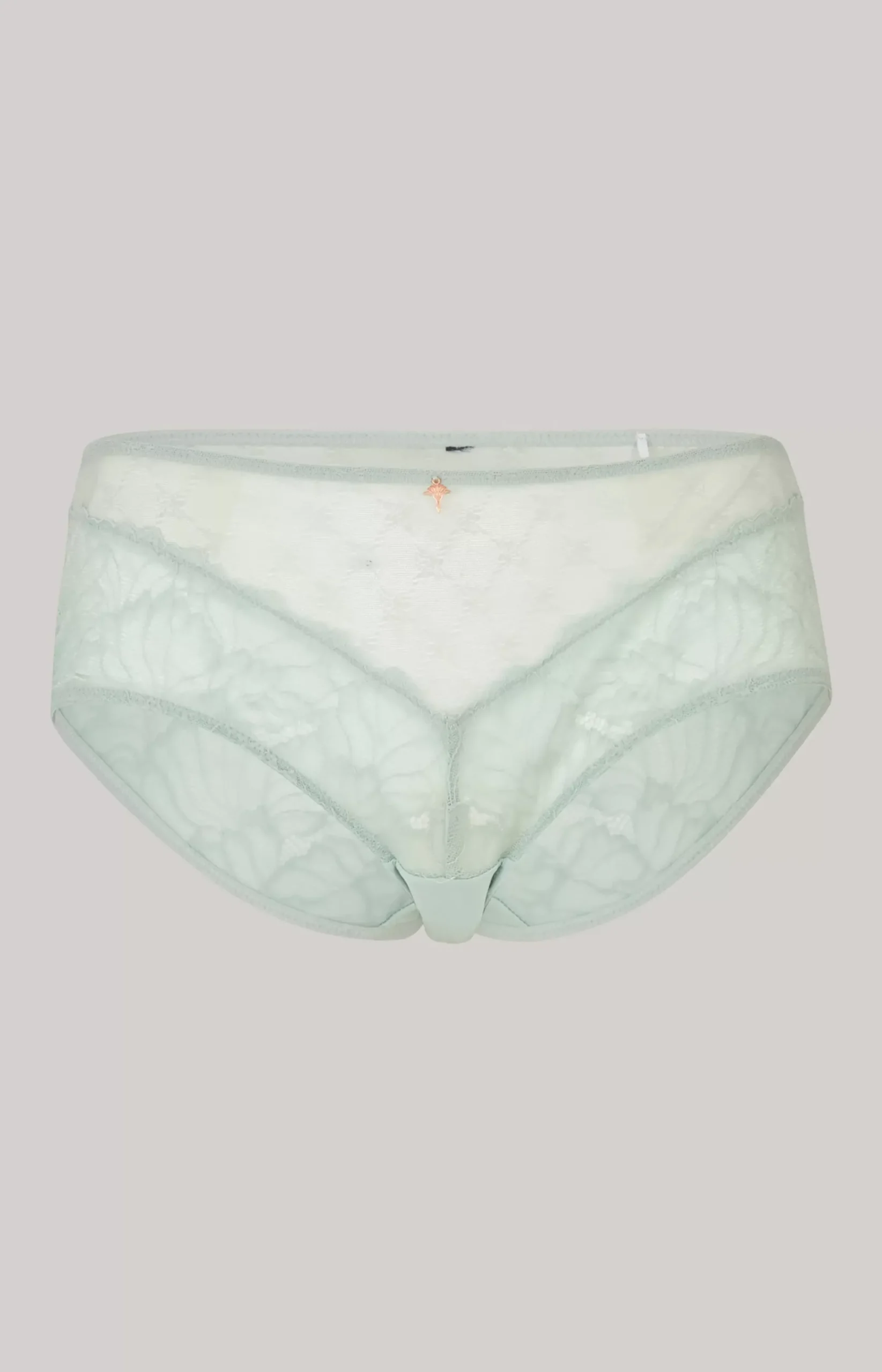 Lace Hipster Panties in Sea Grass