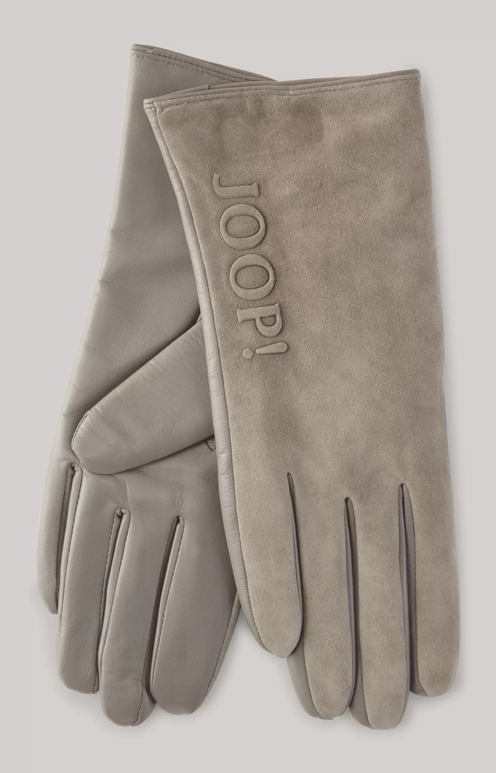 Leather Gloves in Grey