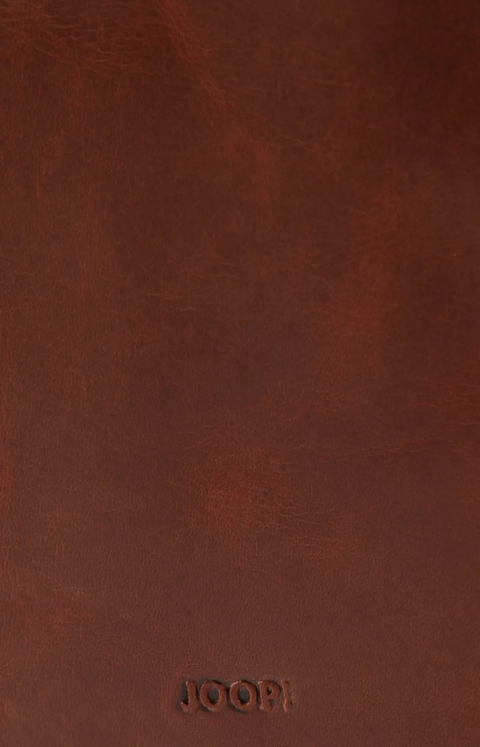 Loreto Daphnis Wallet in Cognac/Brown