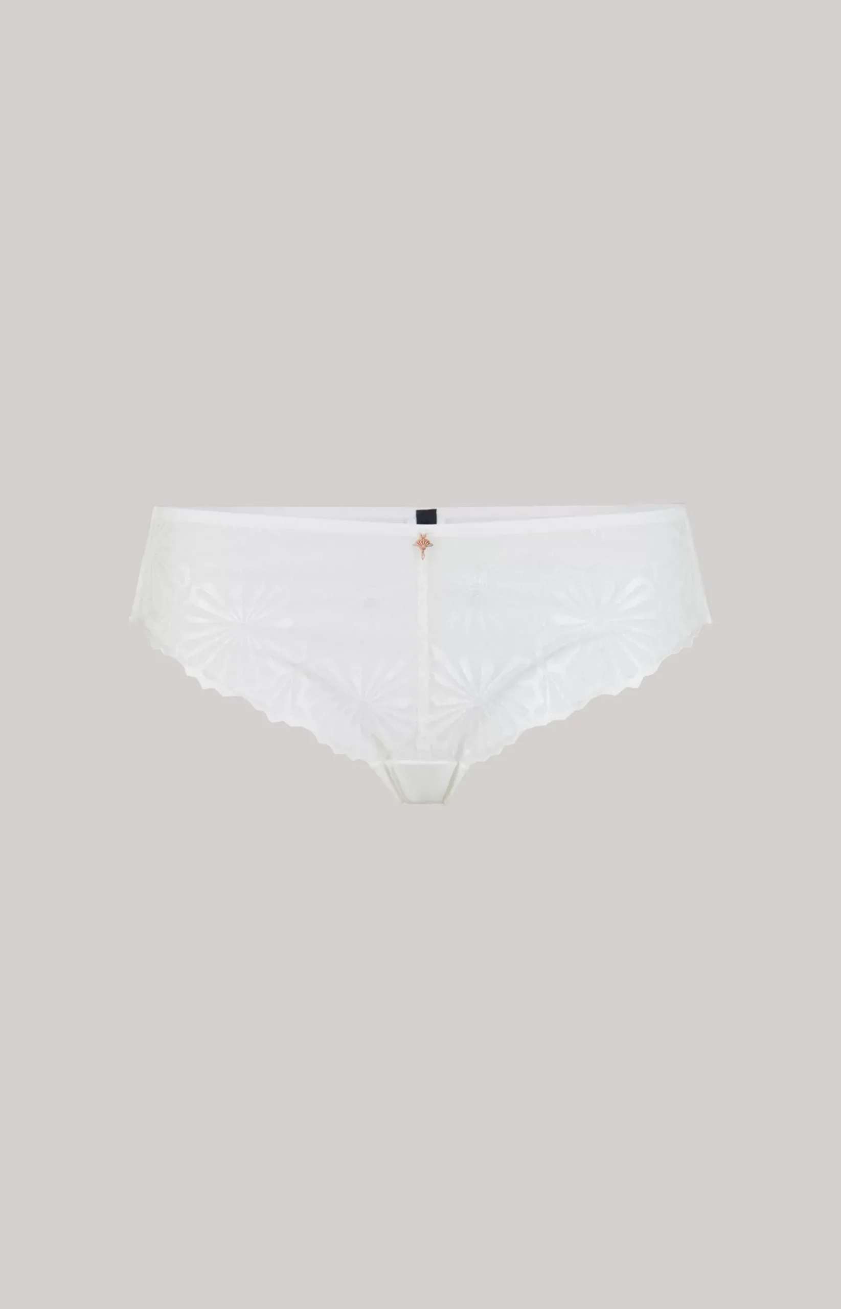 Panty briefs in White