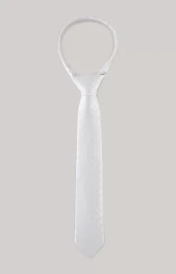 Silk tie in silver