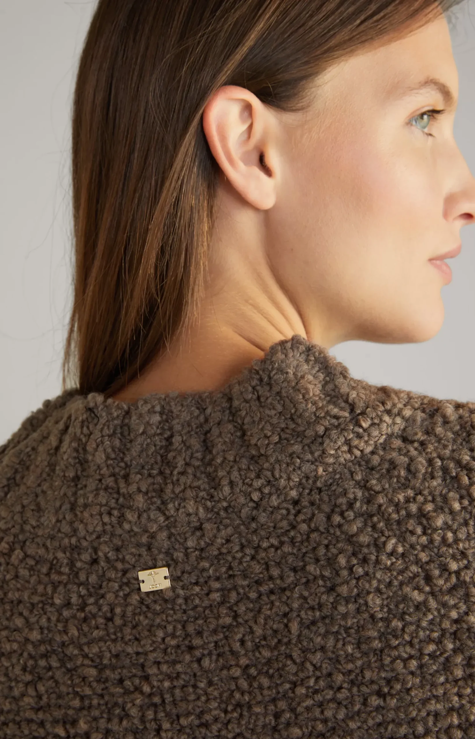 Sweater in Brown