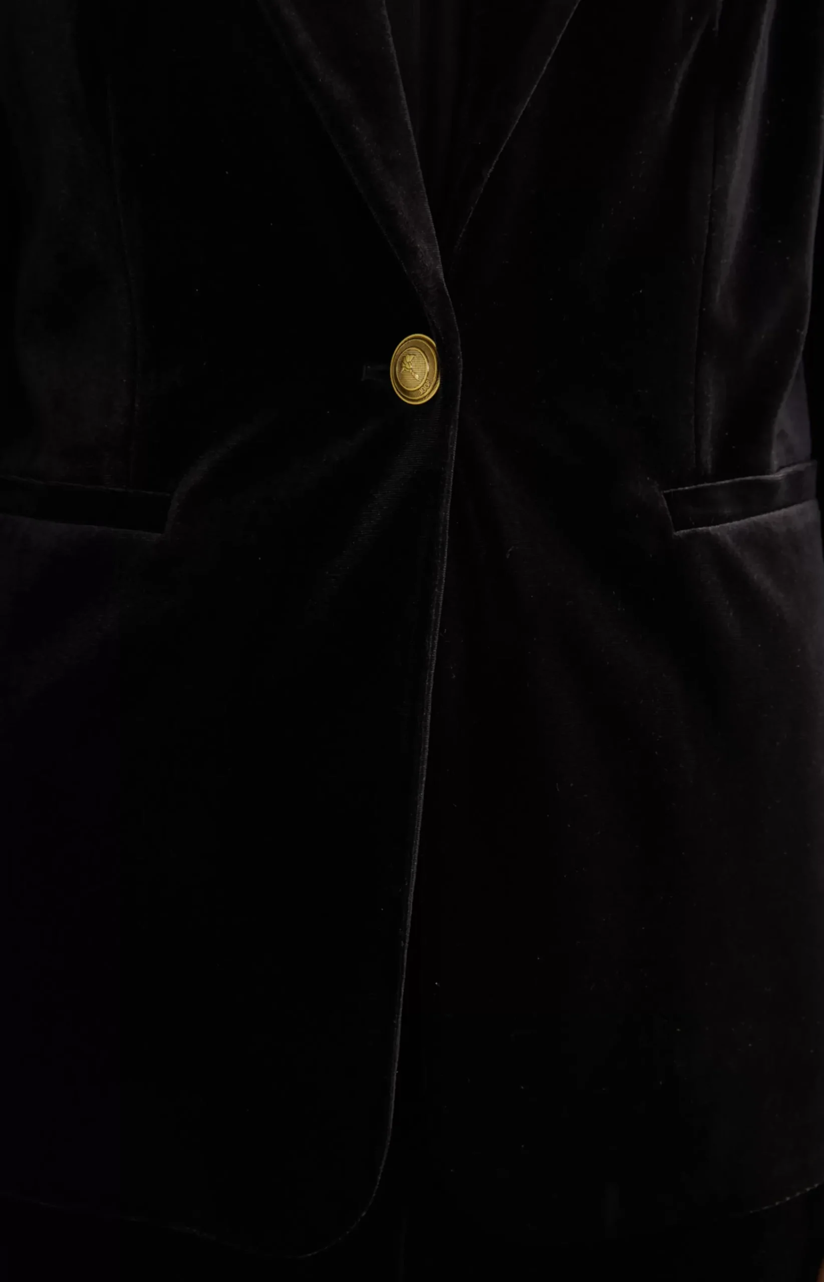 Velvet Blazer in Black